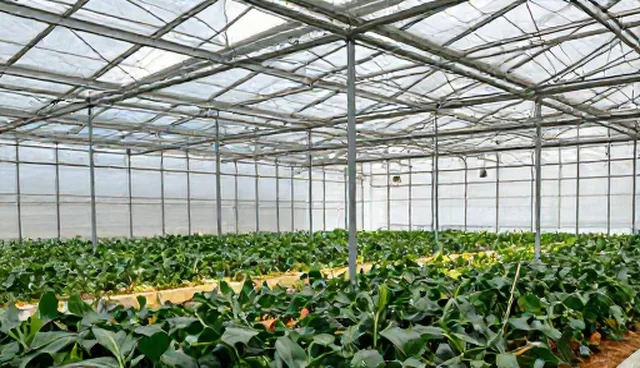 数码产品维修服务包：使用与维护建议的核心要点